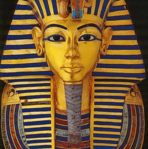 Meet your Posher, Bruce